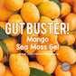 Mango Sea Moss Gel - Gut Buster!