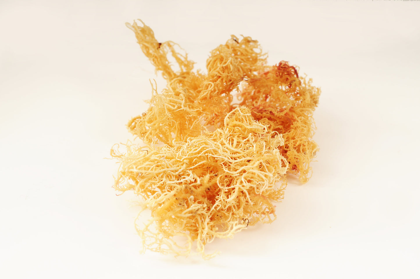 Gold Sea Moss (Raw)